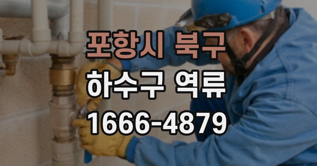 포항시 북구 하수구 역류