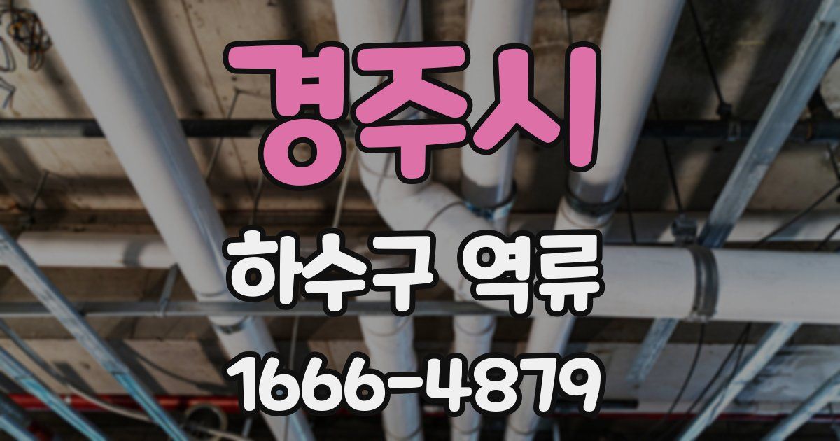 경주시 하수구 역류