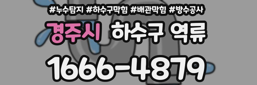 경주시 하수구 역류