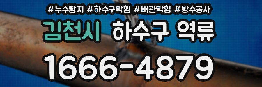 김천시 하수구 역류
