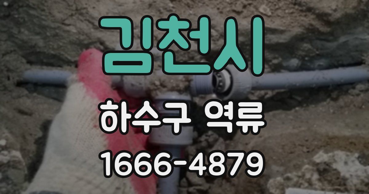 김천시 하수구 역류