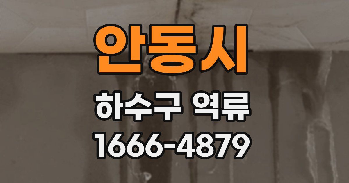 안동시 하수구 역류