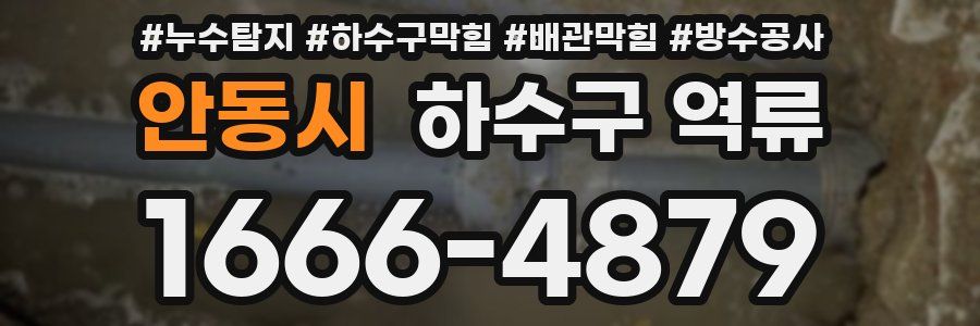 안동시 하수구 역류