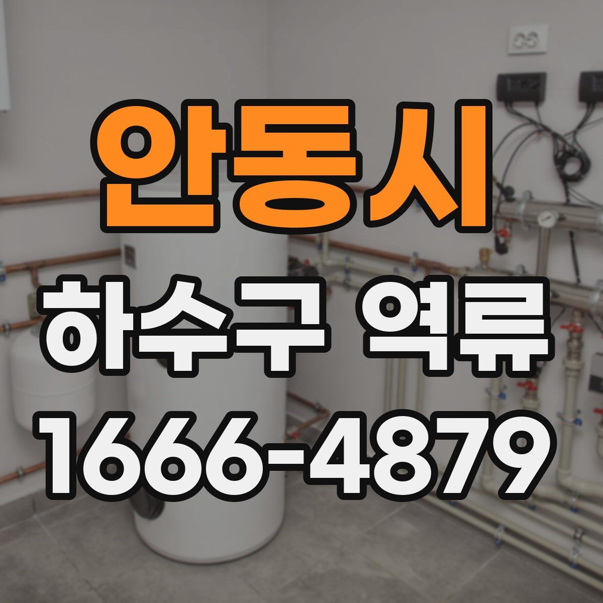 안동시 하수구 역류