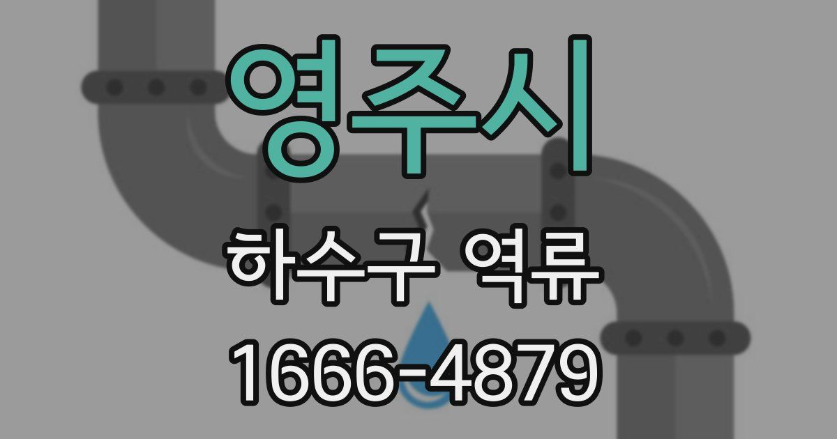 영주시 하수구 역류