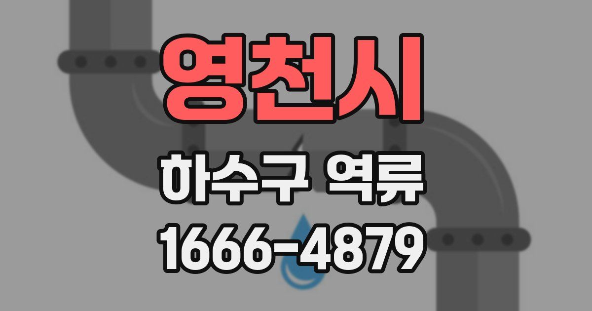 영천시 하수구 역류