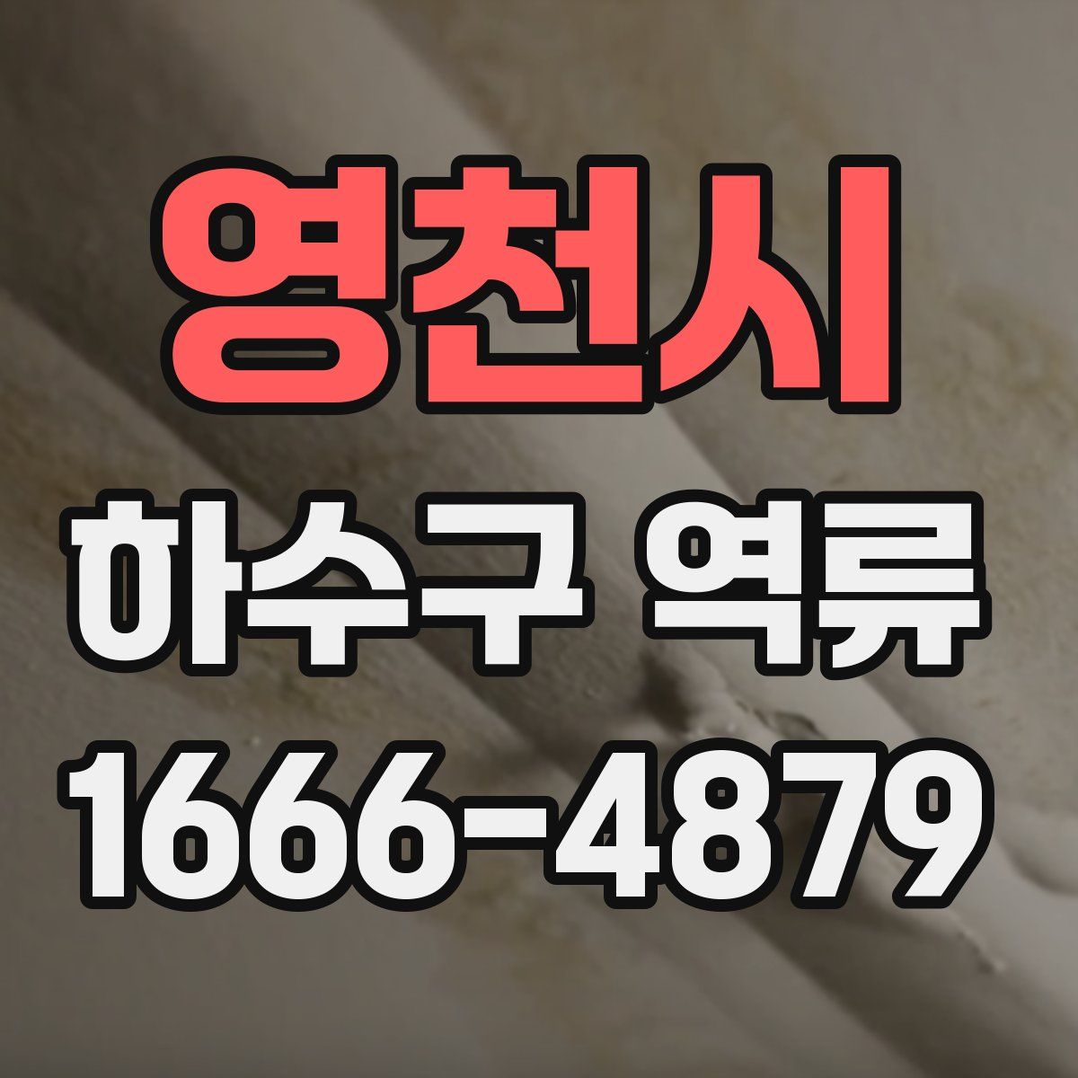 영천시 하수구 역류