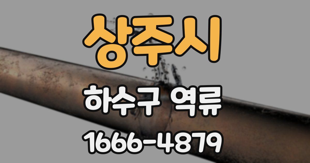 상주시 하수구 역류