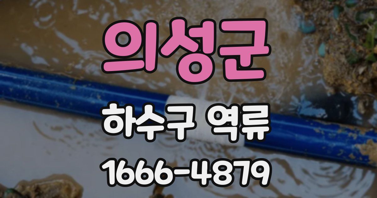 의성군 하수구 역류