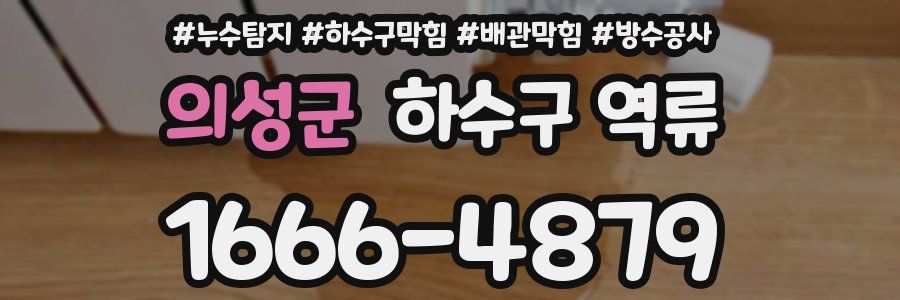 의성군 하수구 역류
