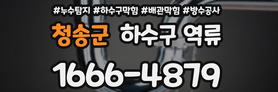청송군 하수구 역류