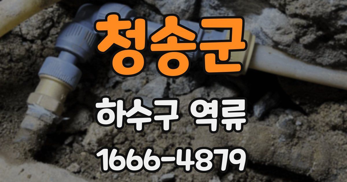 청송군 하수구 역류