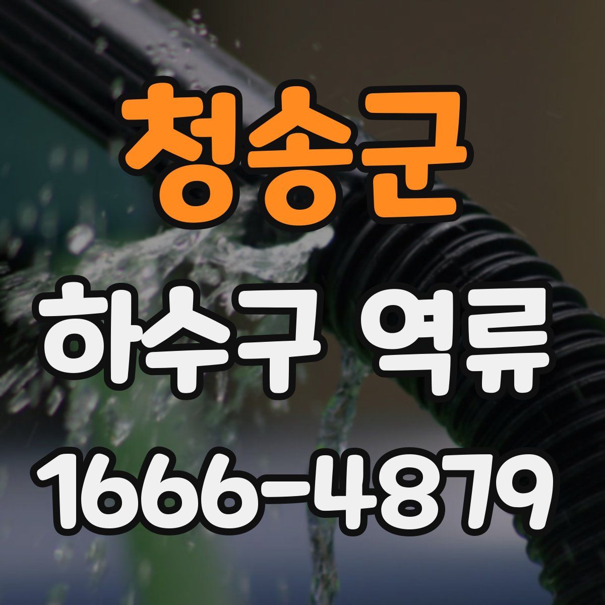 청송군 하수구 역류