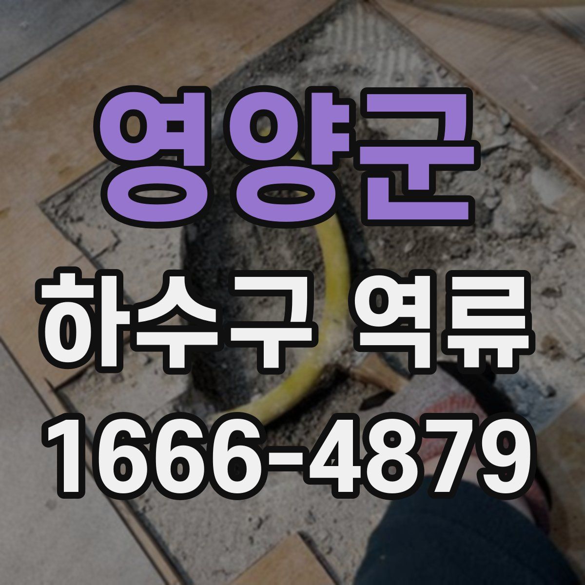 영양군 하수구 역류