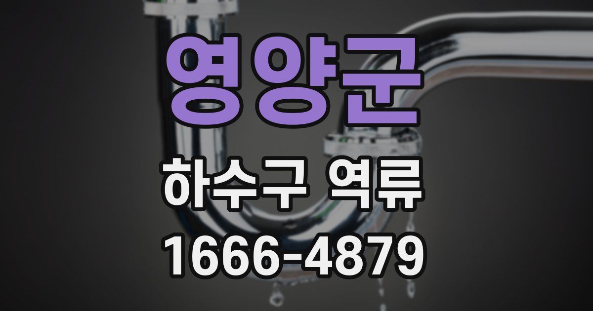 영양군 하수구 역류