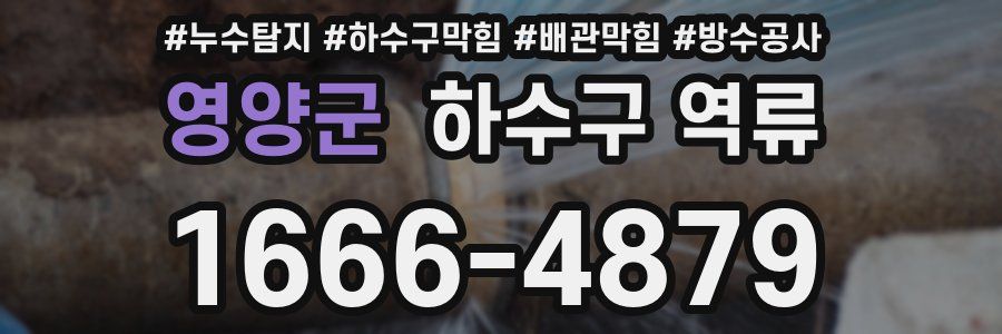 영양군 하수구 역류