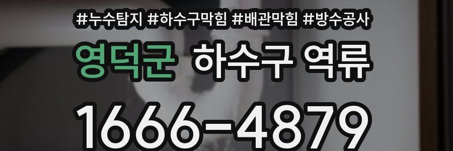 영덕군 하수구 역류