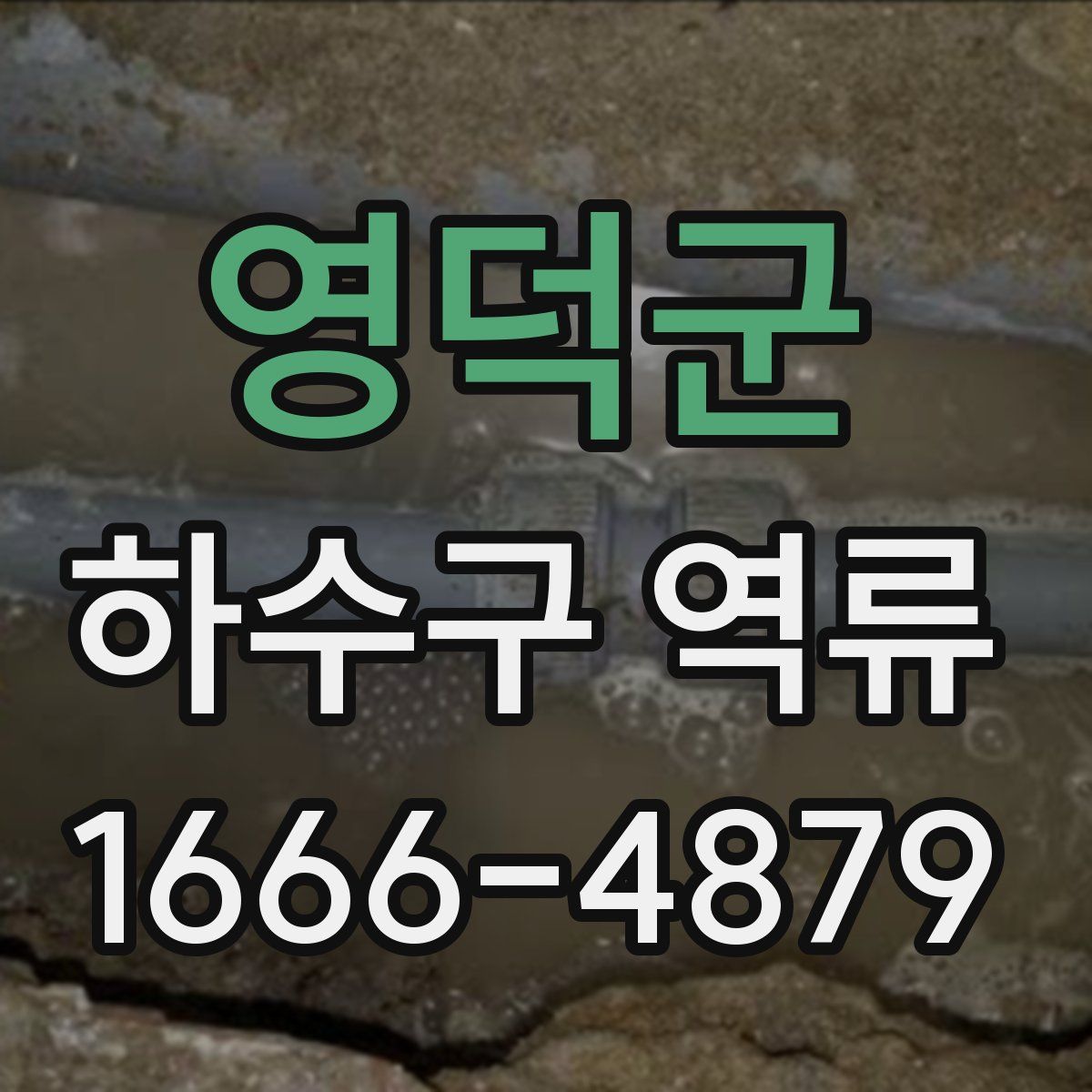 영덕군 하수구 역류