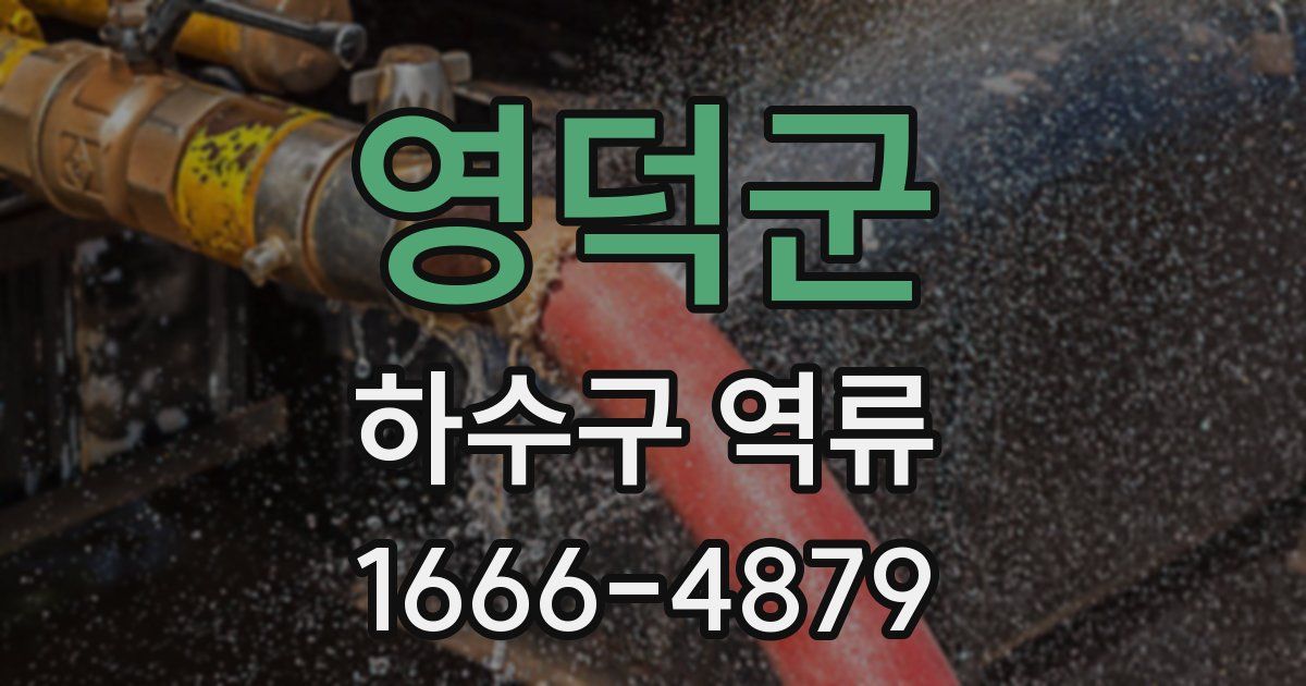 영덕군 하수구 역류