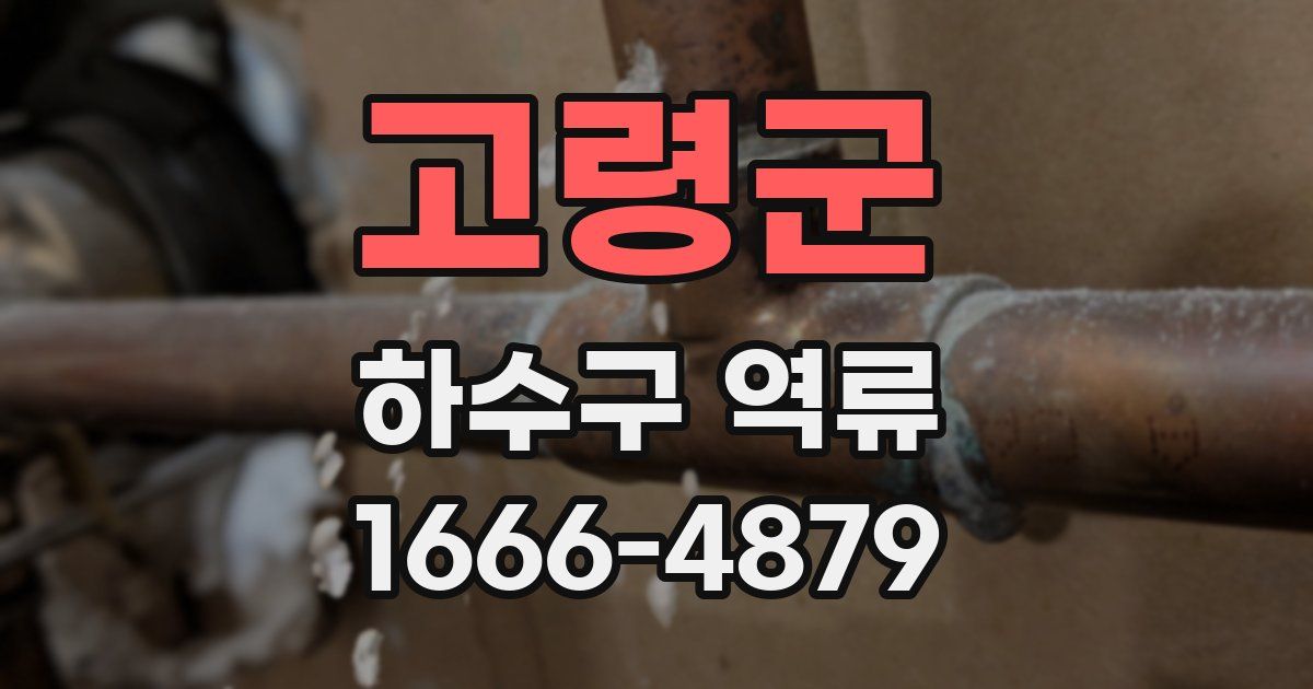 고령군 하수구 역류