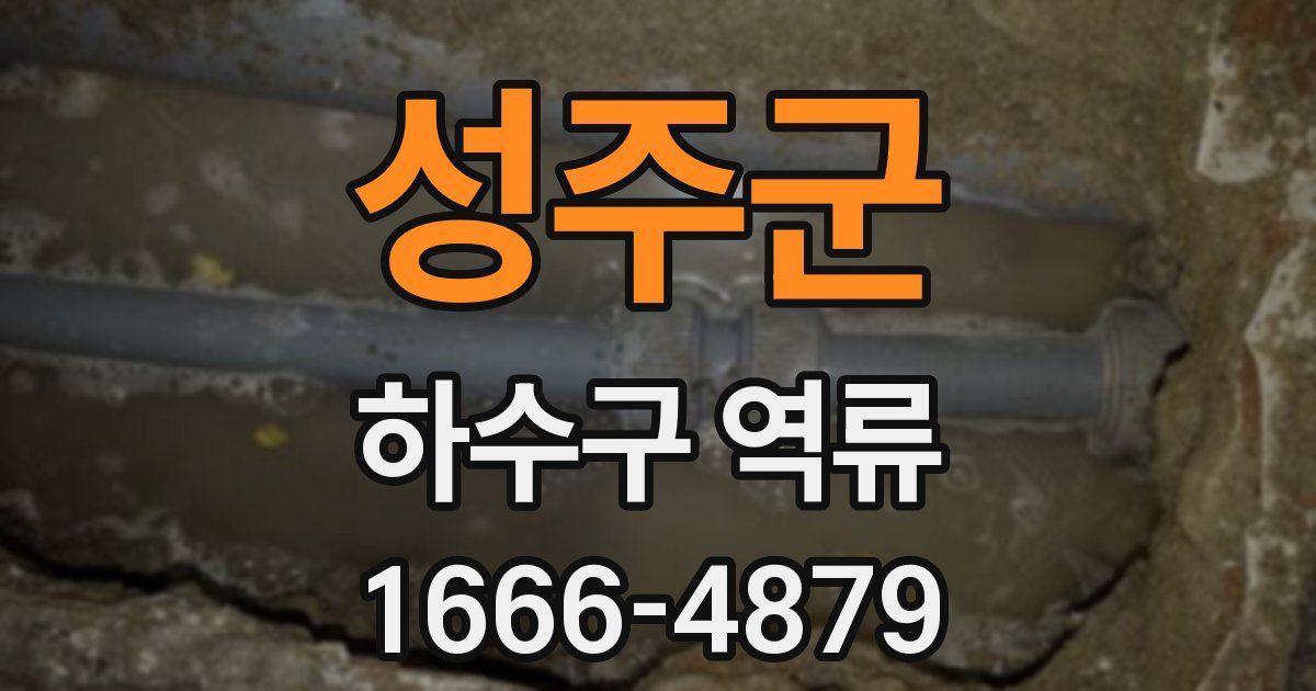 성주군 하수구 역류