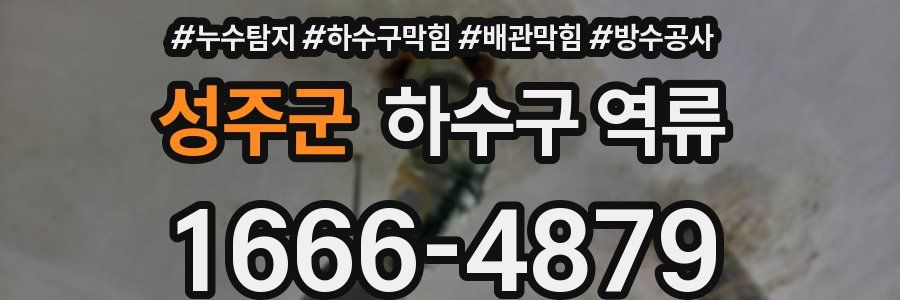 성주군 하수구 역류