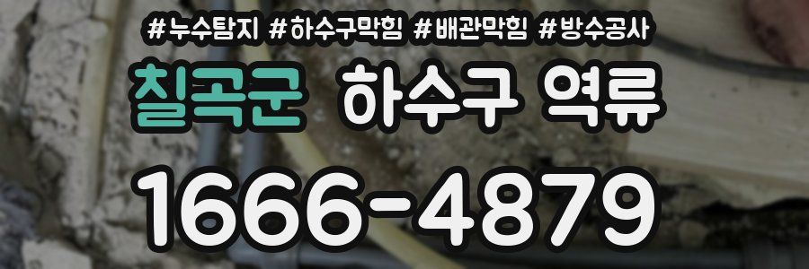 칠곡군 하수구 역류