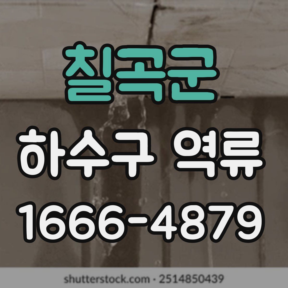 칠곡군 하수구 역류
