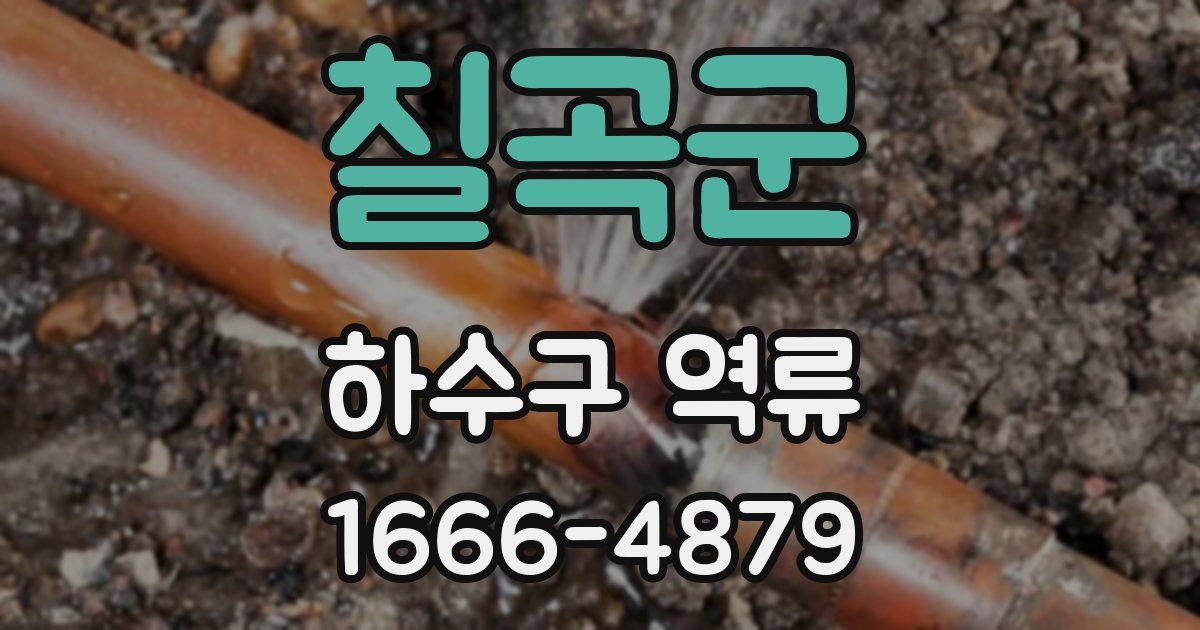 칠곡군 하수구 역류