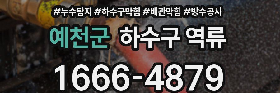 예천군 하수구 역류