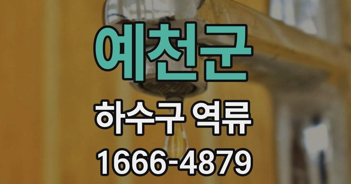 예천군 하수구 역류