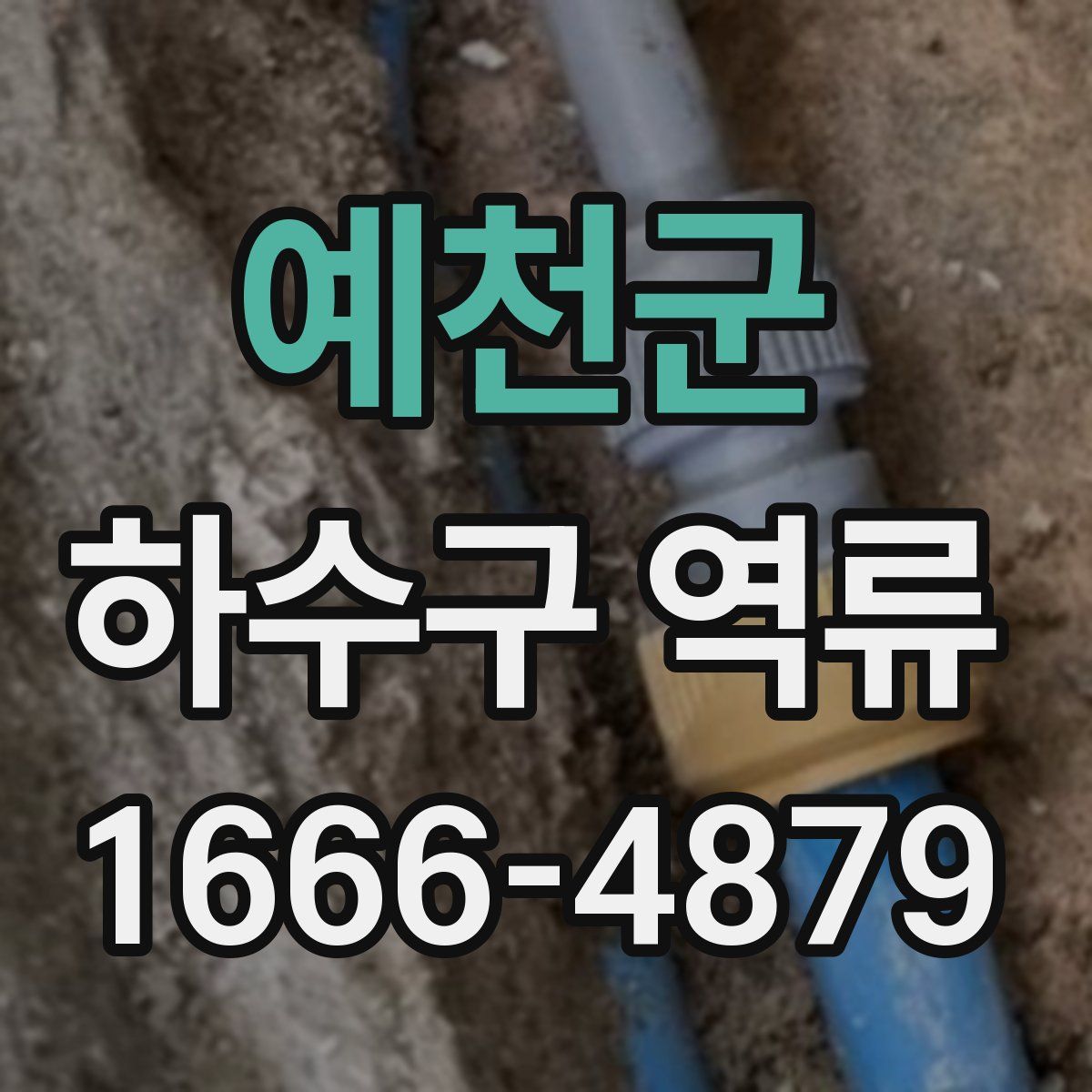 예천군 하수구 역류