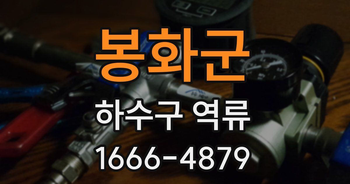 봉화군 하수구 역류