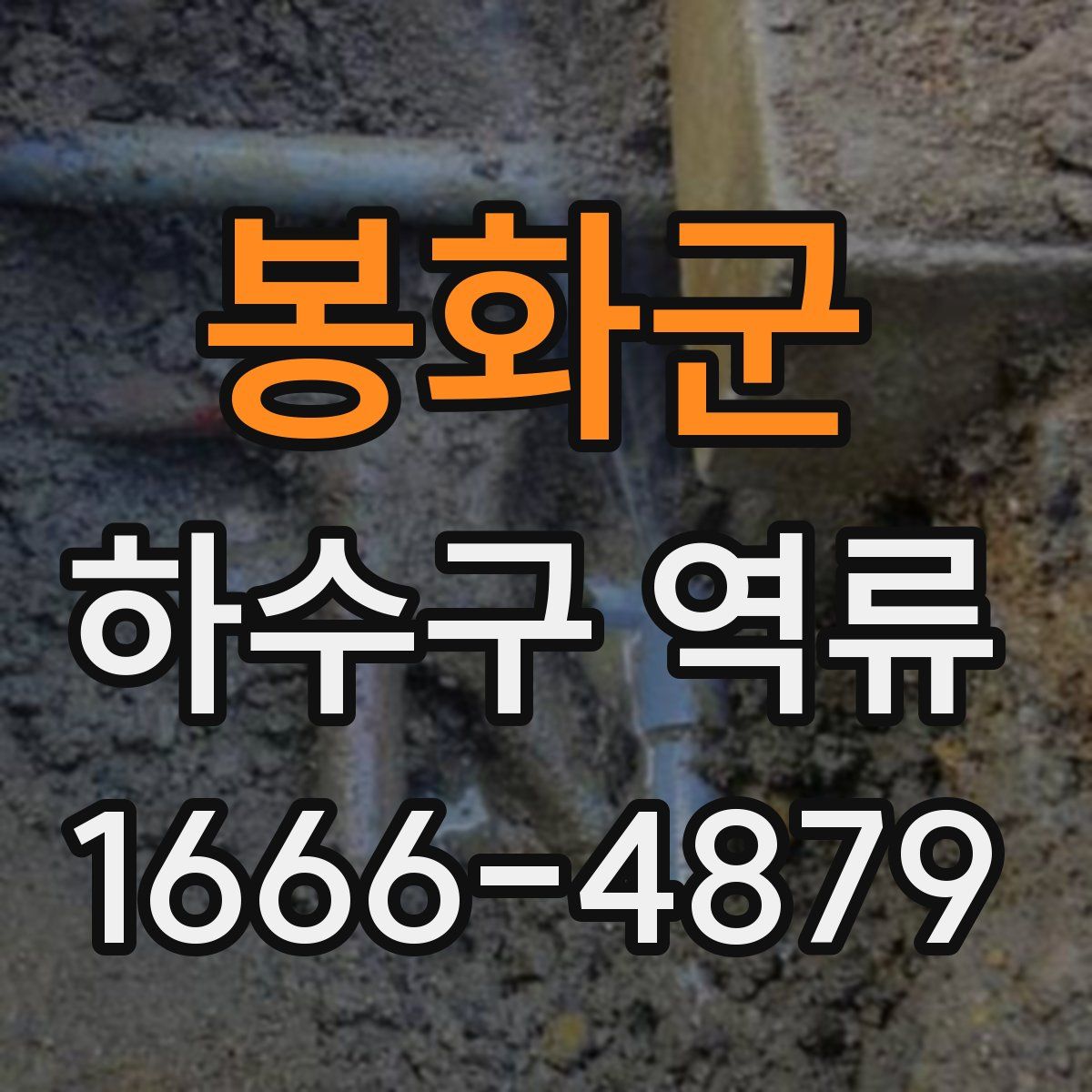 봉화군 하수구 역류