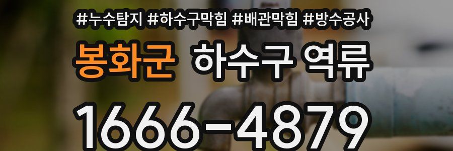 봉화군 하수구 역류