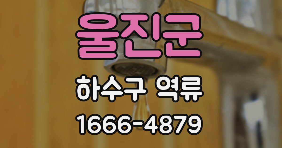 울진군 하수구 역류