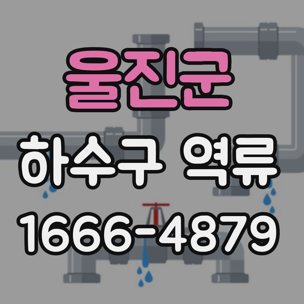 울진군 하수구 역류