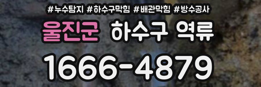 울진군 하수구 역류
