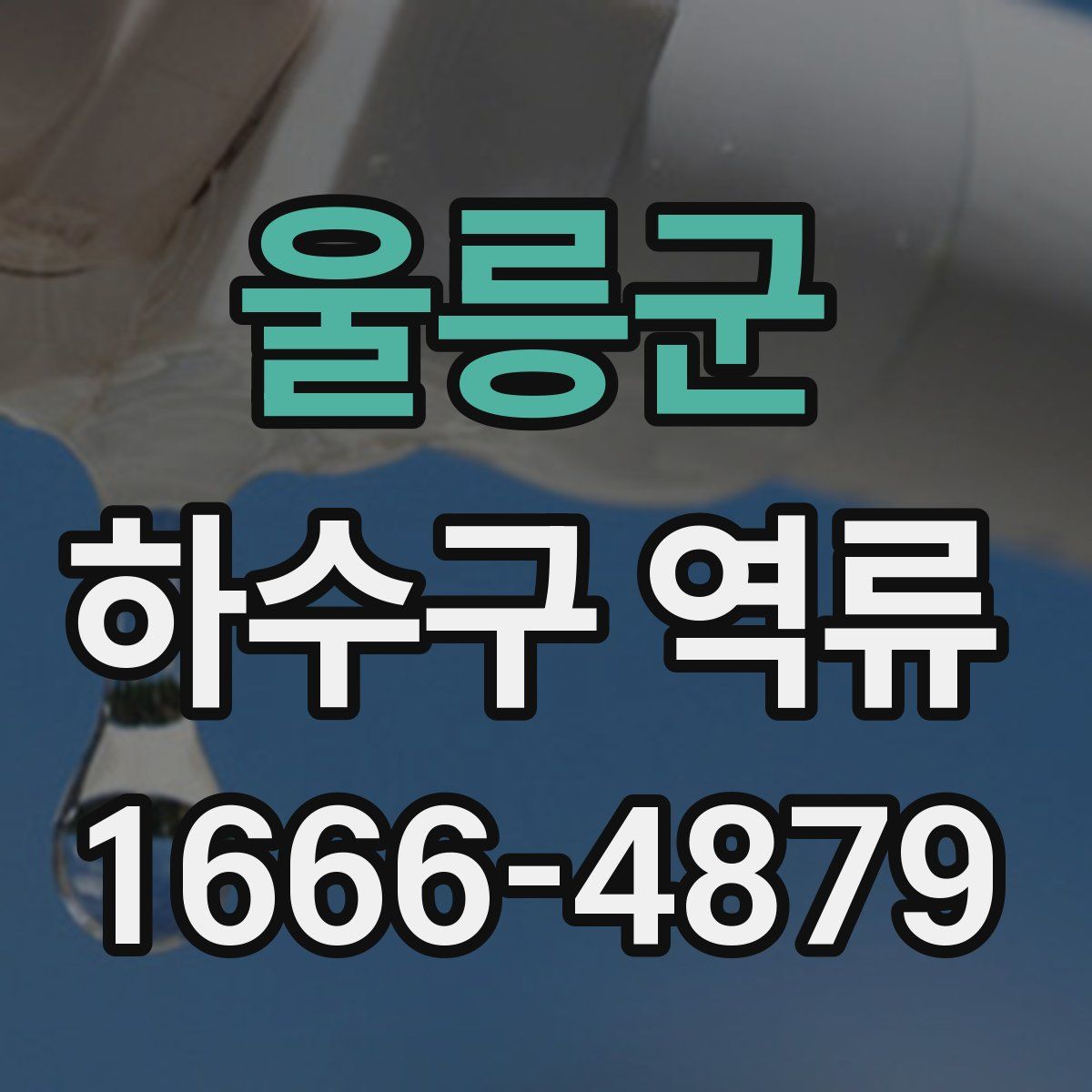 울릉군 하수구 역류