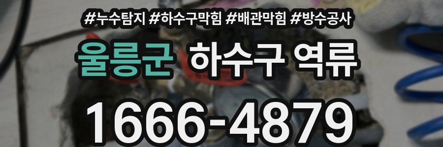울릉군 하수구 역류