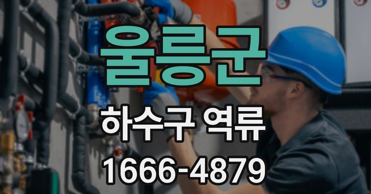 울릉군 하수구 역류
