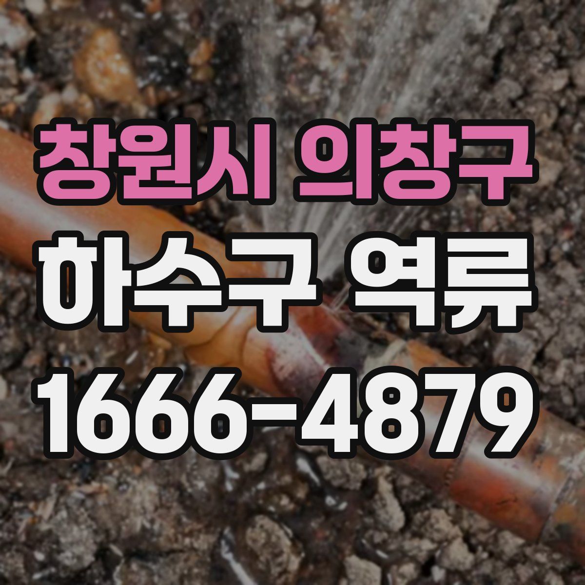 창원시 의창구 하수구 역류