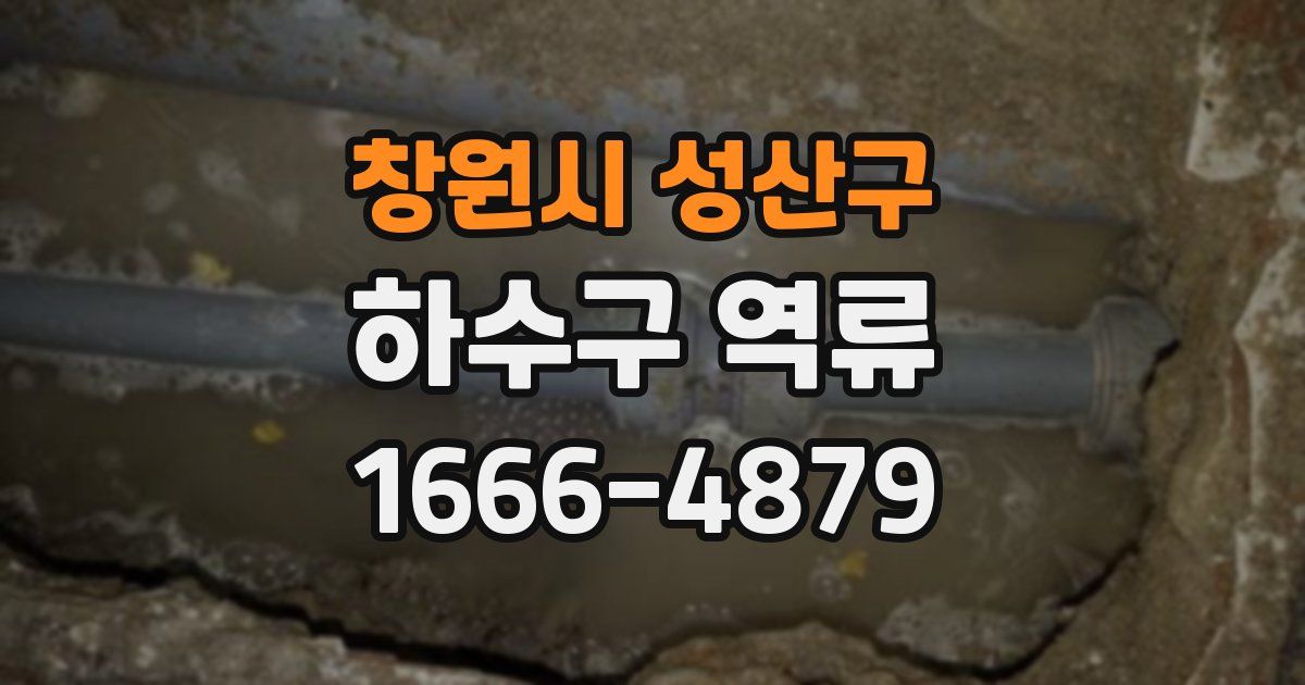 창원시 성산구 하수구 역류
