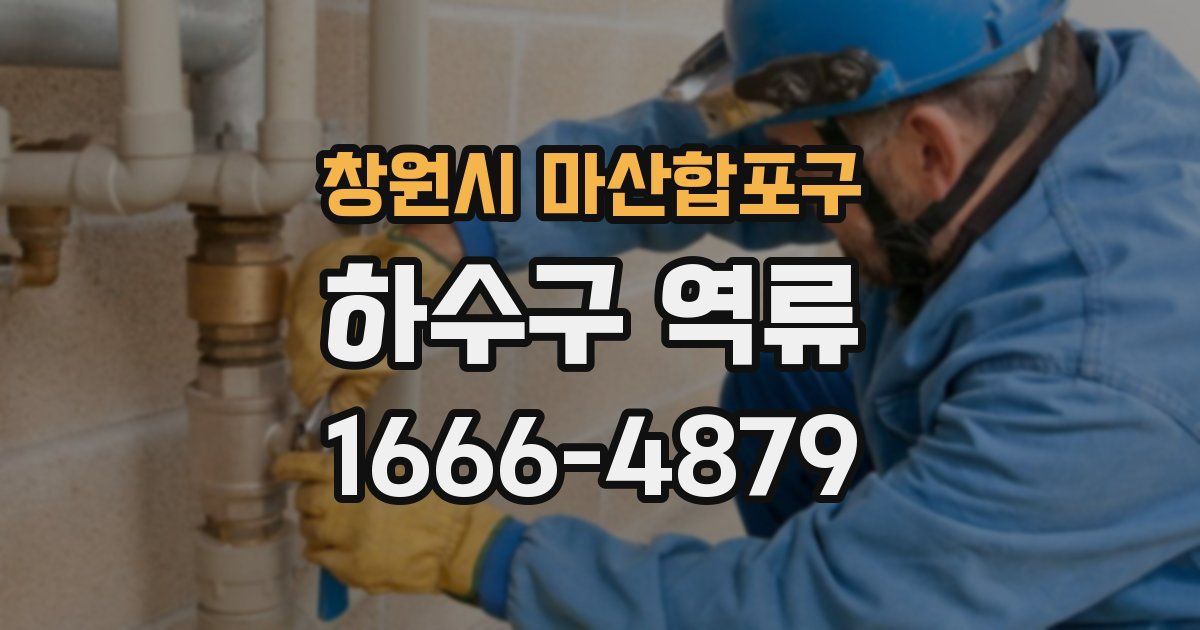 창원시 마산합포구 하수구 역류