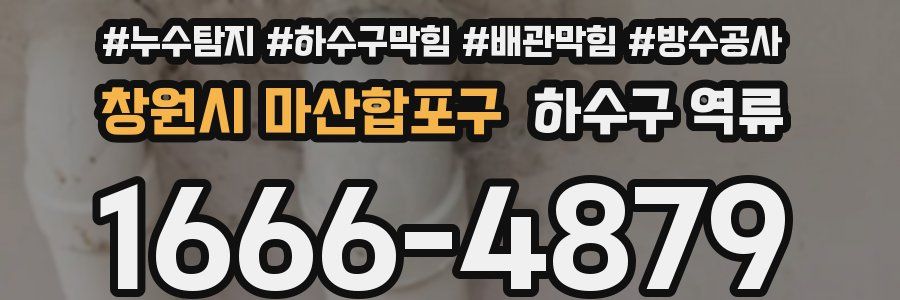 창원시 마산합포구 하수구 역류