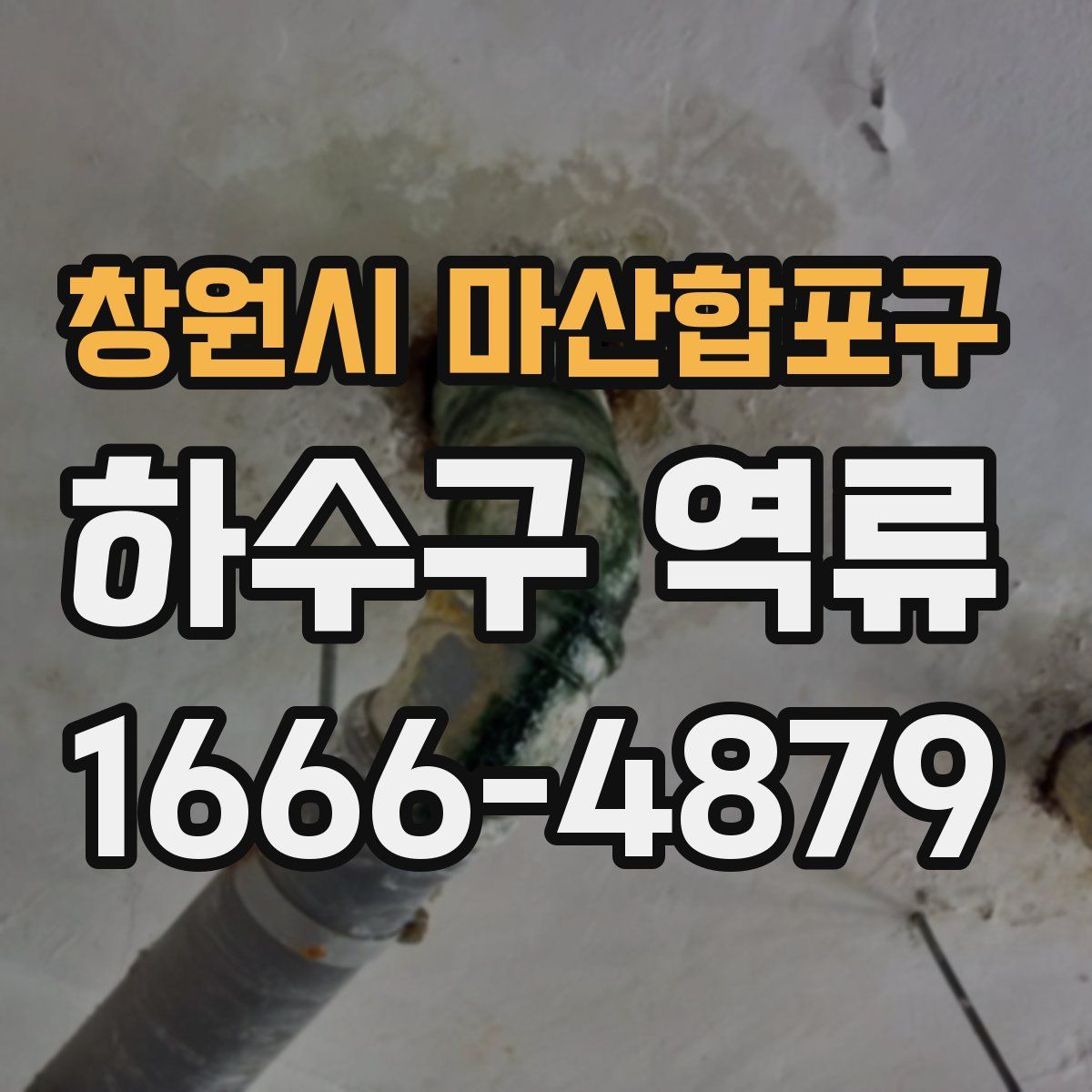 창원시 마산합포구 하수구 역류