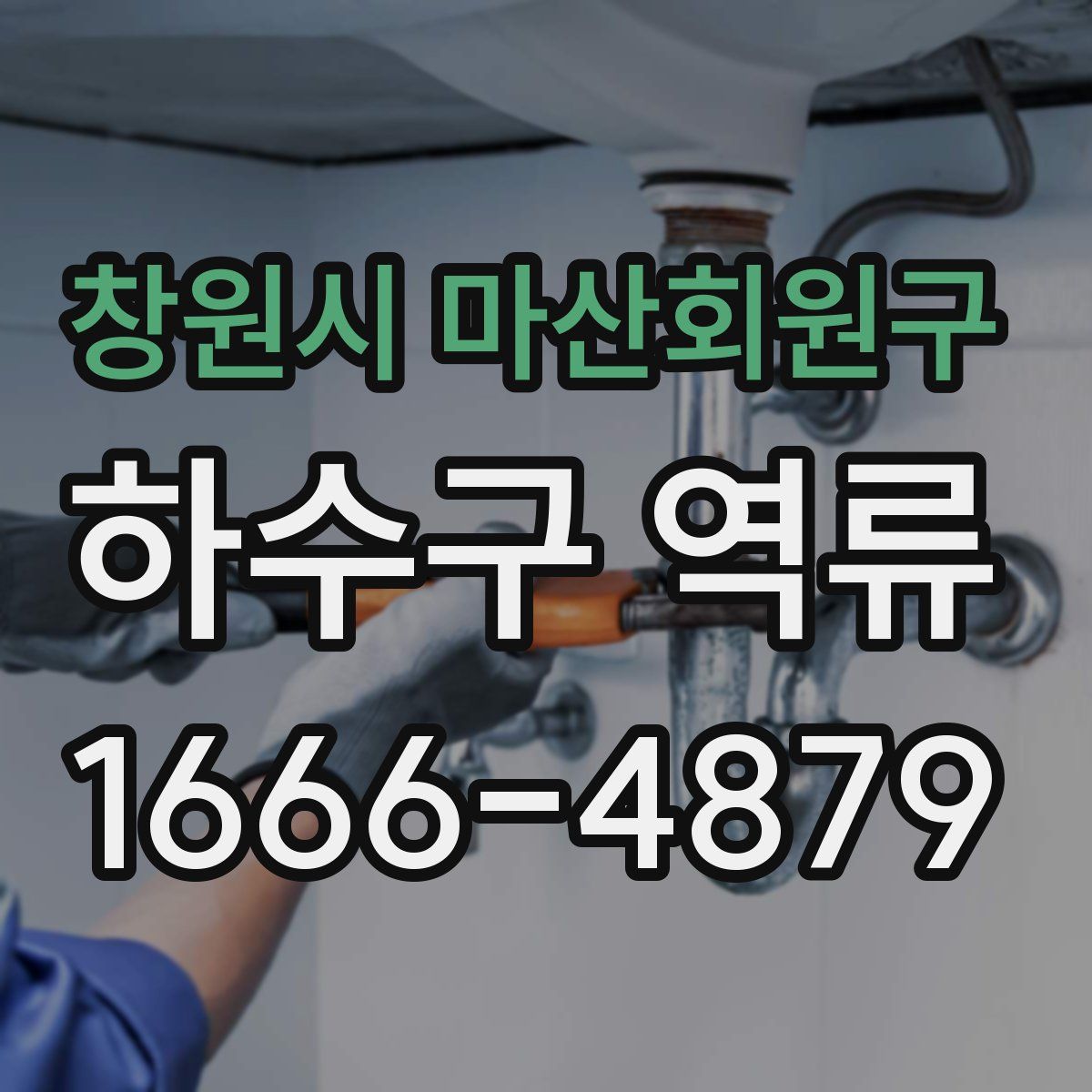 창원시 마산회원구 하수구 역류