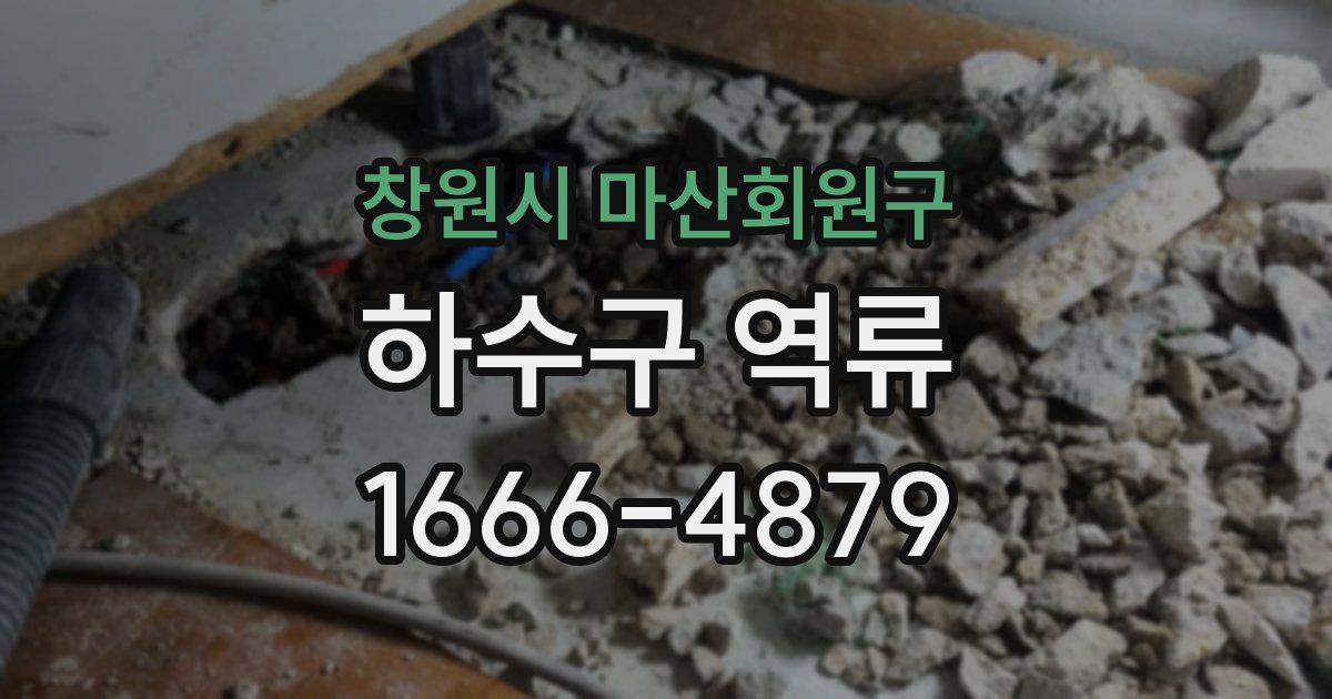 창원시 마산회원구 하수구 역류