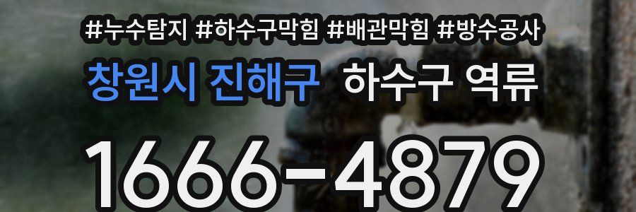 창원시 진해구 하수구 역류