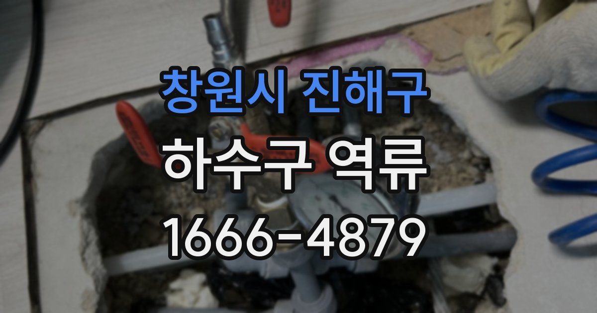 창원시 진해구 하수구 역류